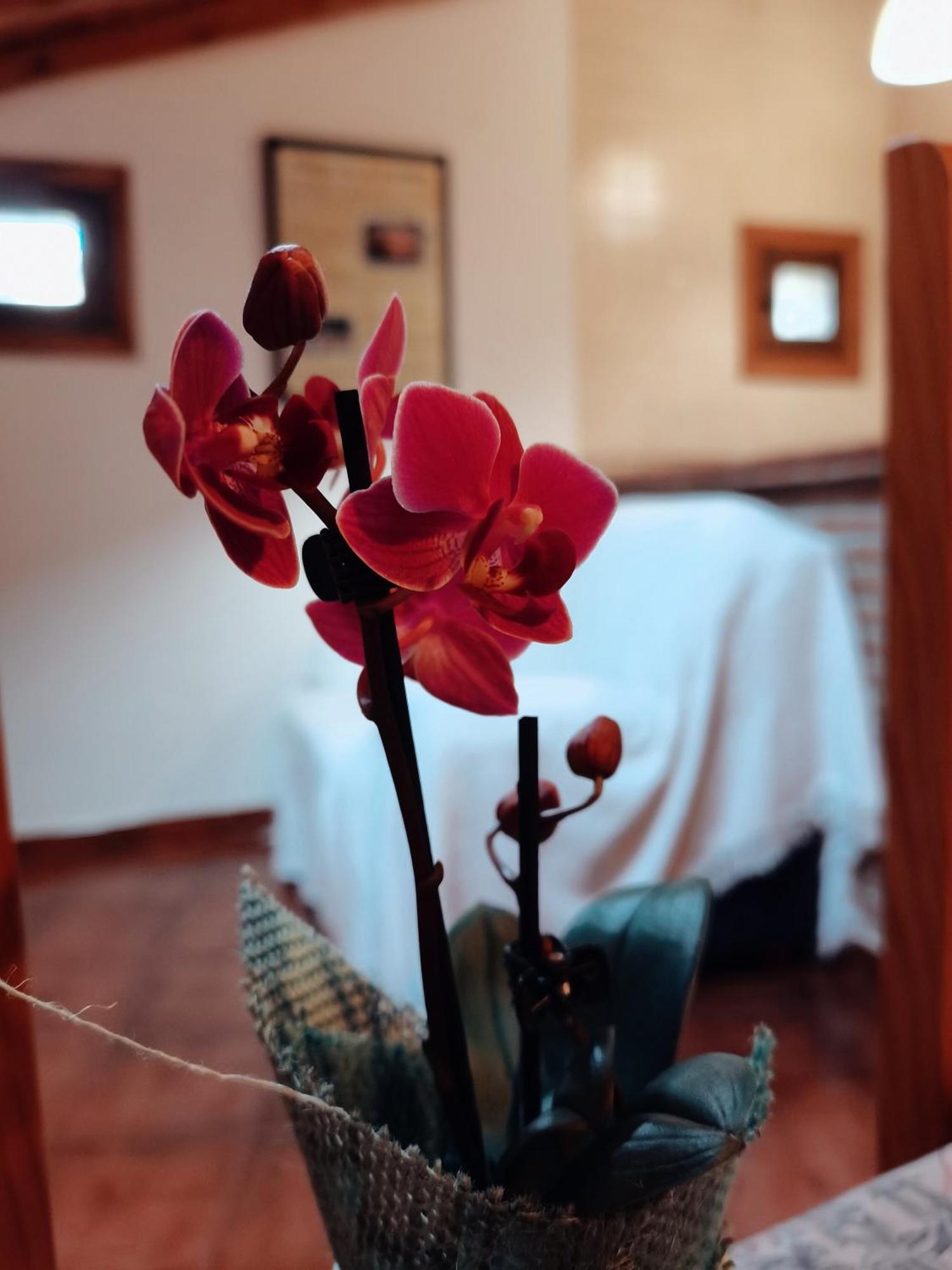 Casa Rural Parada Real Garganta la Olla Dış mekan fotoğraf
