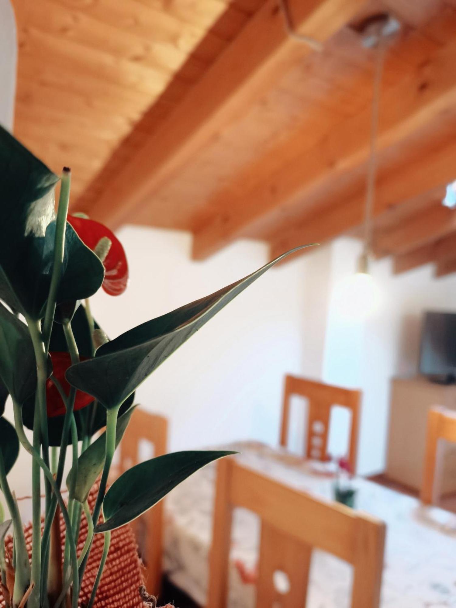 Casa Rural Parada Real Garganta la Olla Dış mekan fotoğraf